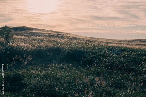 Fototapeta 四国カルスト