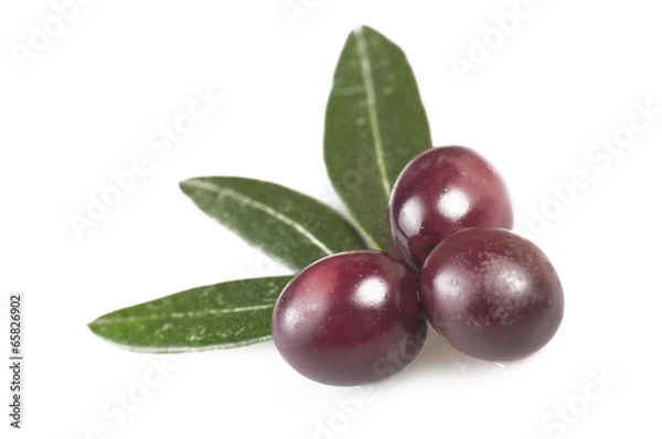 Obraz Taggiasche olive and leaves on the  white