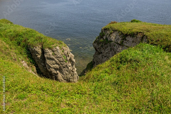 Obraz Summer landscape with sea coast.