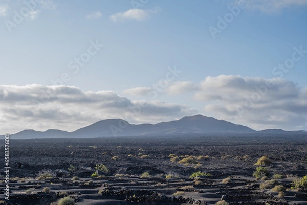 Obraz Winegrowing area of La Geria. Vineyard landscape with mountains in the background and sky with white clouds. Vines. Planting holes to protect the vines. Wine cellars. . Lanzarote, Canary Island