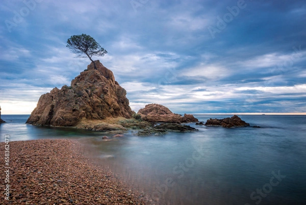 Obraz Montaña con arbol