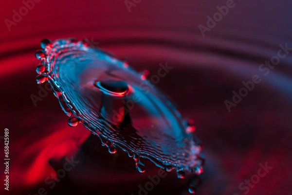 Fototapeta Water drops impacting a second water drop.