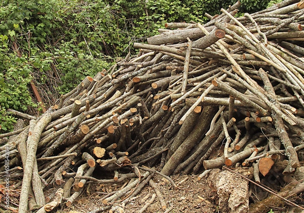 Obraz Catasta di legna