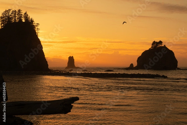 Obraz Sunset at La Push First Beach