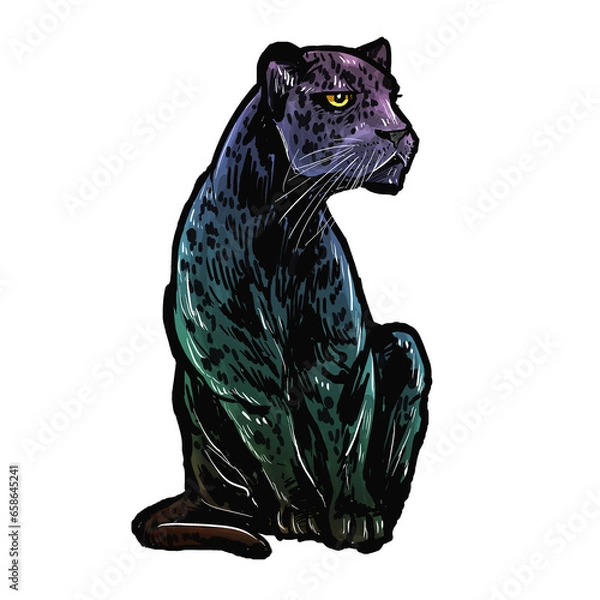 Fototapeta black leopard isolated on white