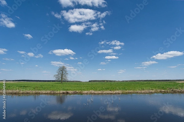 Obraz Krajobraz Podlasia