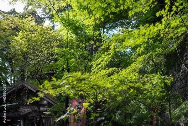 Obraz 秋色の深大寺