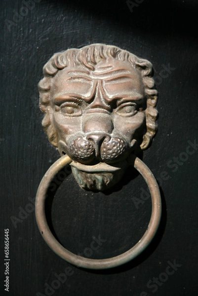 Fototapeta Lion Door Knocker