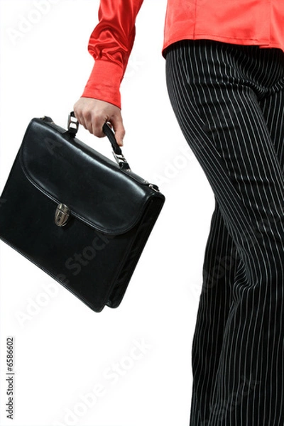 Fototapeta Portfolio in a hand