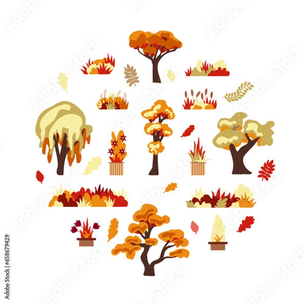 Fototapeta bright collection with autumn trees and orange leaves