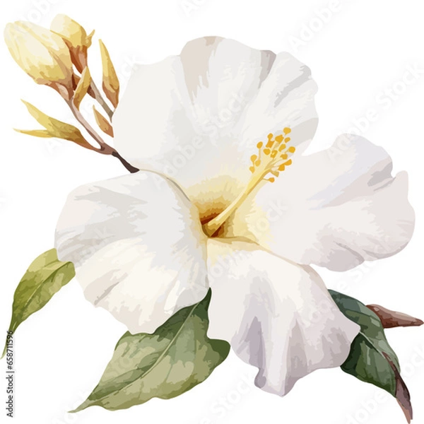 Obraz Flower Watercolor element on white background