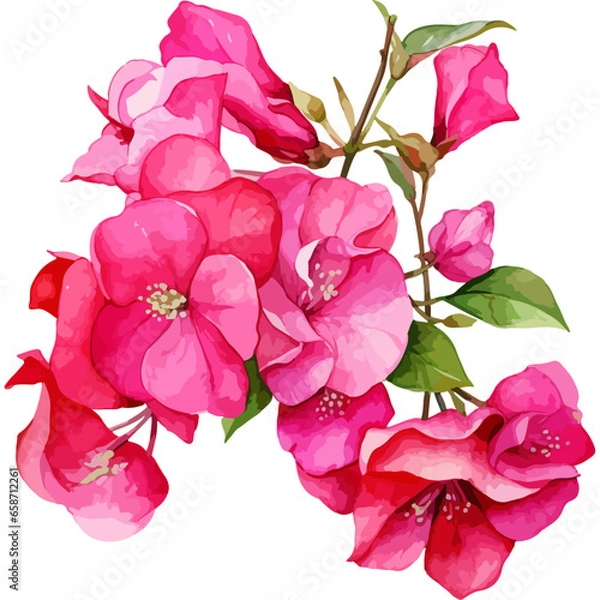 Obraz Flower Watercolor element on white background