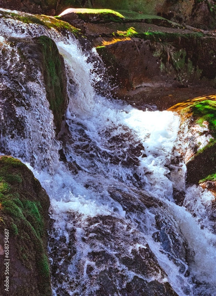 Obraz alles im Fluss