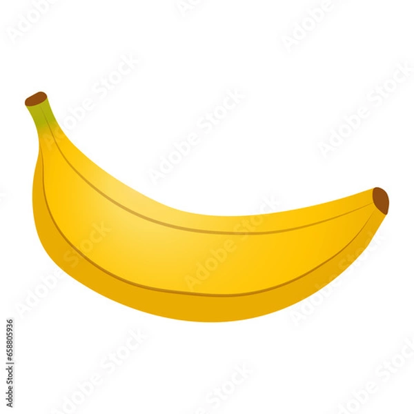 Obraz Vector banana fruit isolated on white background