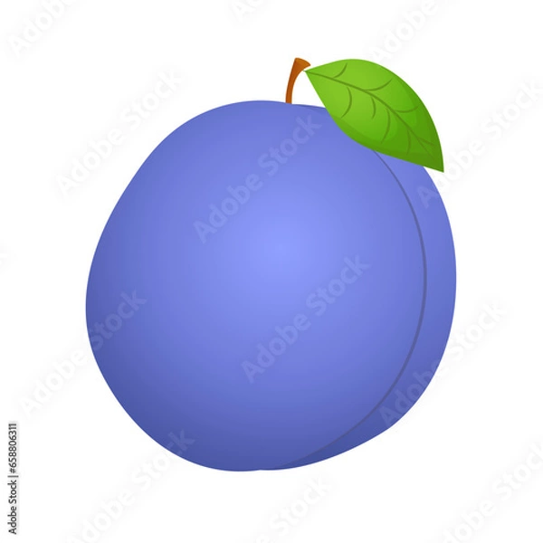 Obraz Vector fresh plum on white background
