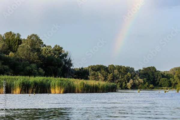 Obraz Rainbow over Danube river, Slovakia