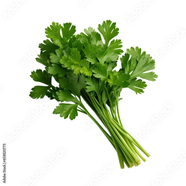 Fototapeta fresh parsley isolated on white background, ai generated
