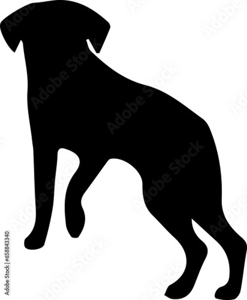 Obraz dog silhouette vector