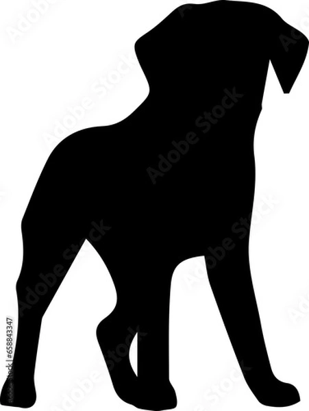 Obraz dog silhouette vector