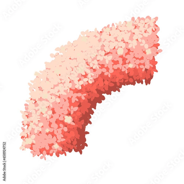 Obraz Cute rainbow bush