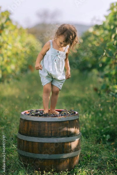Obraz Young kid trampling or stomping grapes in vineyard. Traditional producing wine concept