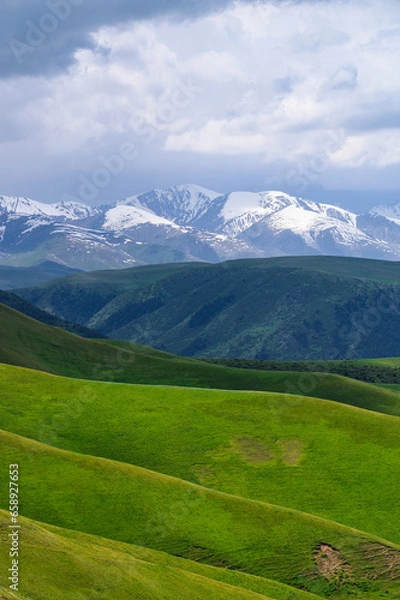 Obraz landscape with grass