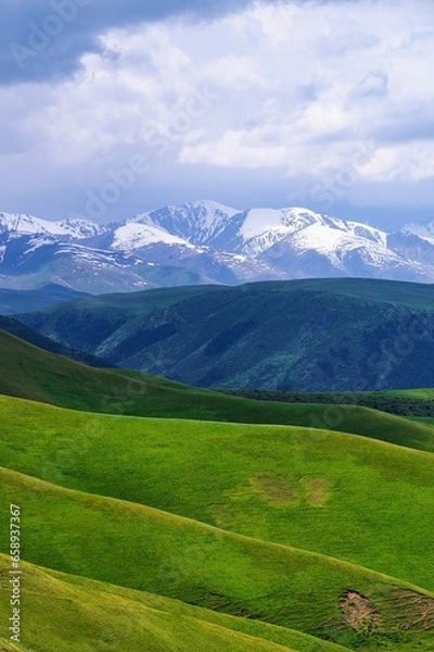 Obraz landscape with grass