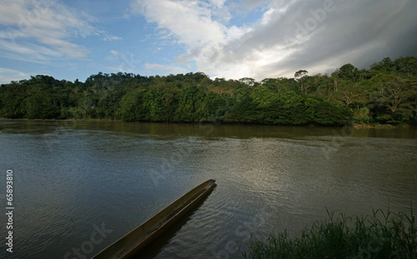 Fototapeta Rio Napo
