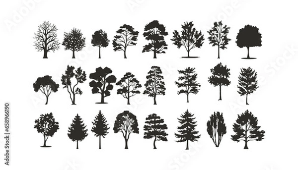 Fototapeta silhuette of trees on transparent background