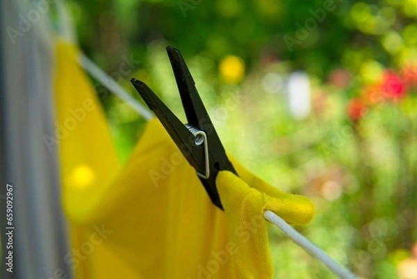 Obraz hanging laundry in the garden on a string              
