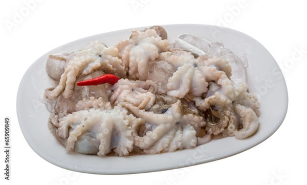 Fototapeta Raw octopus