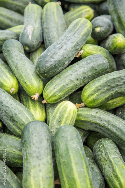 Fototapeta Cucumbers