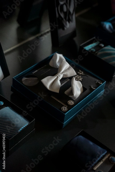 Obraz bow tie and accessories