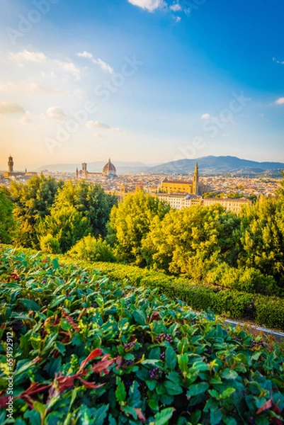 Fototapeta Firenze - Italia