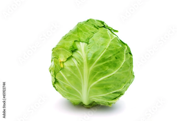 Obraz cabbage isolated