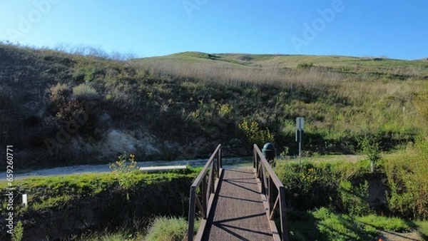 Obraz fence in the field