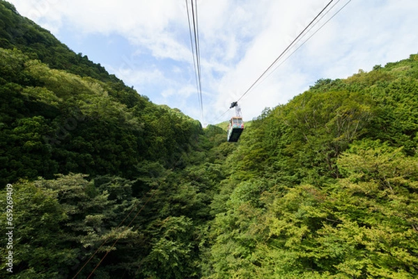 Fototapeta 石鎚山 ロープウェイ