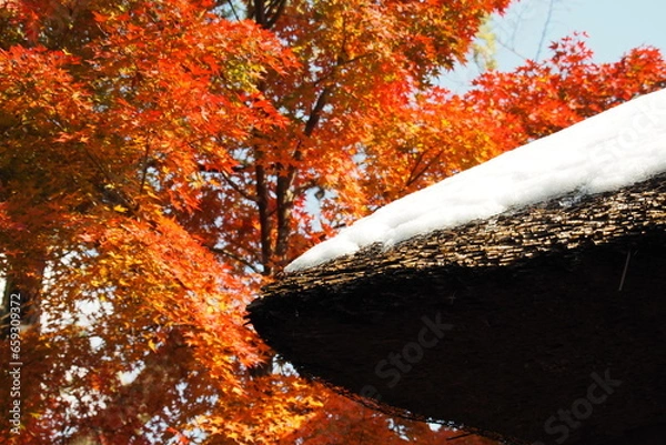 Obraz 秋から冬へ, From autumn to winter.