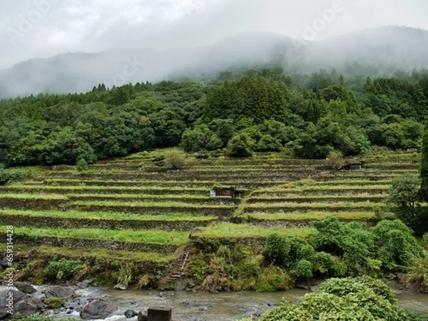 Obraz 水俣の棚田