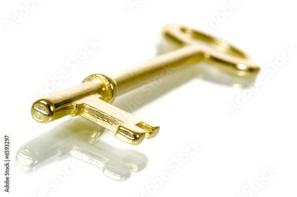 Fototapeta Brass skeleton key