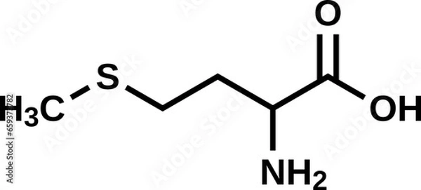 Fototapeta Amino acid methionine structural formula, vector illustration