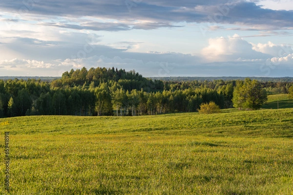 Obraz Agricultural fields and forests on the hills in the evening light