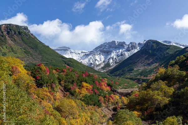 Fototapeta 北海道　十勝岳連峰の紅葉