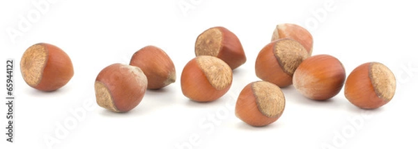 Fototapeta hazelnut or filbert nut isolated on white background cutout