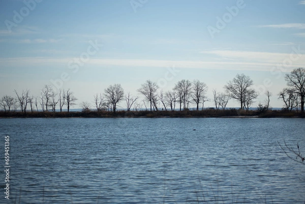 Obraz lake in the forest