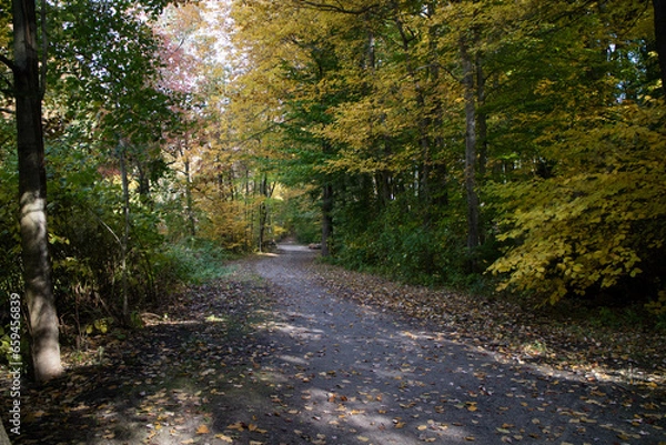 Obraz path in the park