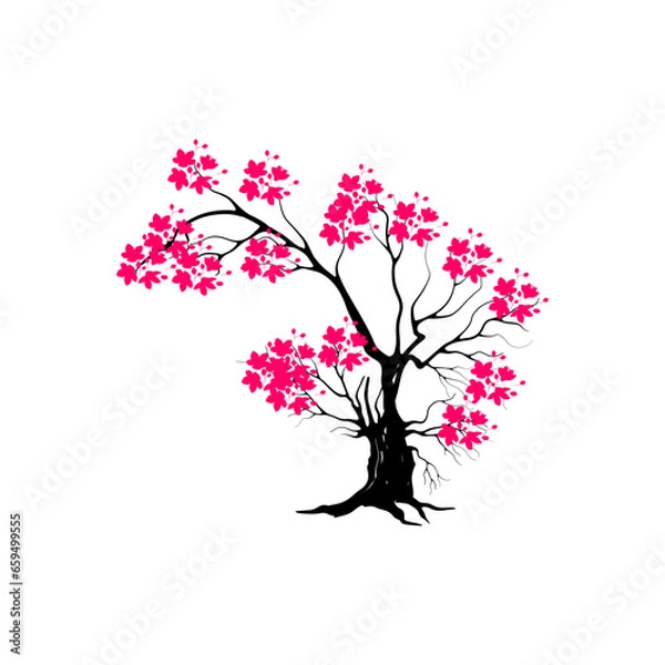 Obraz cherry blossom tree isolated on white backdrop.