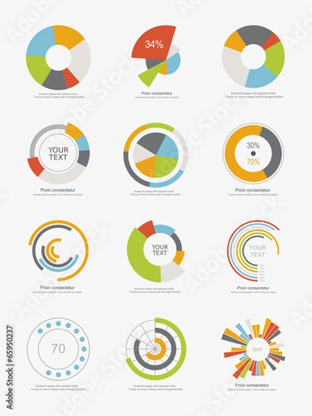 Fototapeta Set of info-graphic pie charts