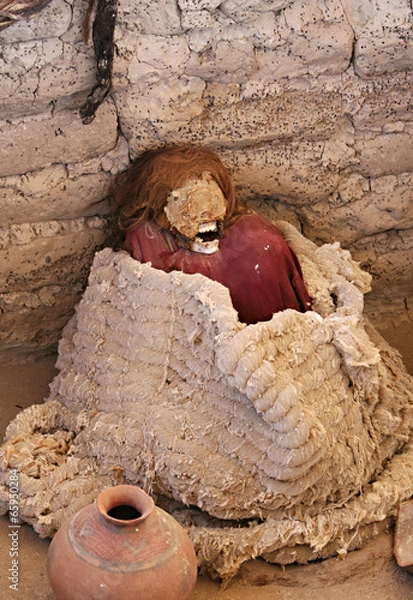 Fototapeta Ancient Skulls