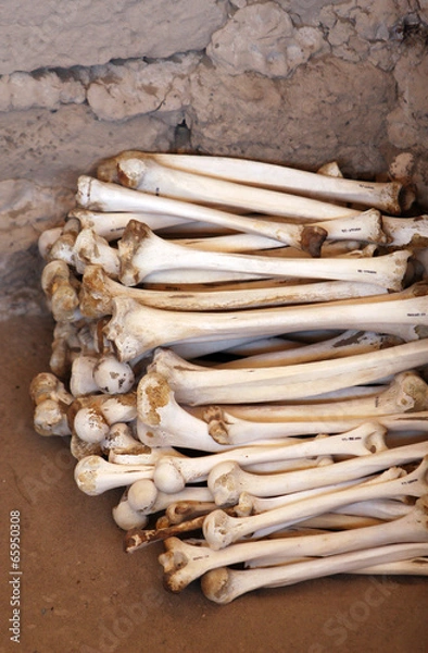 Fototapeta Ancient Human Bones